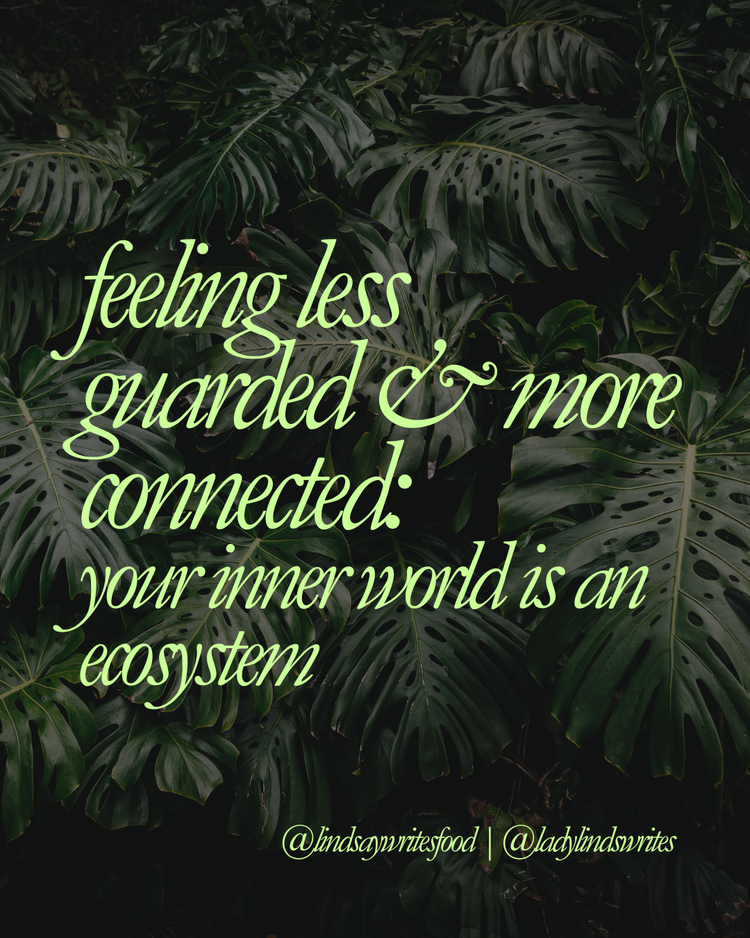 Astrological Counseling: Feeling Less Guarded & More Connected: Your Inner World is an Ecosystem